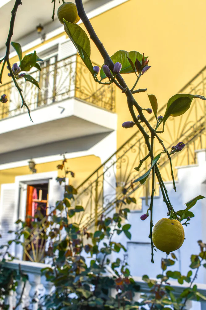 Anemos Holidays House
