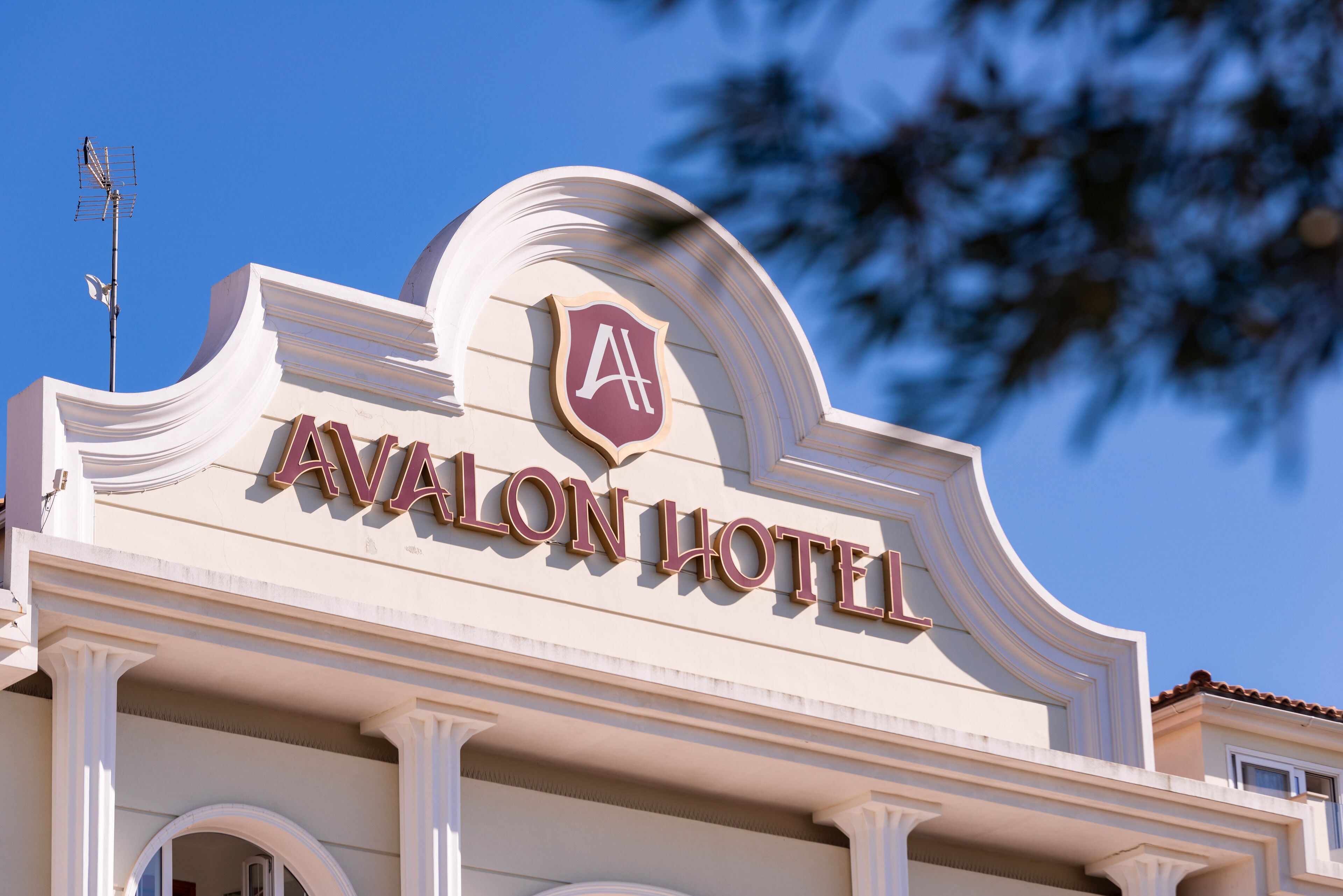 Avalon Palace Hotel