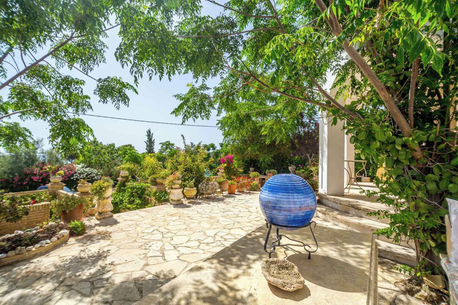 Blue Horizon Studios & Apartments