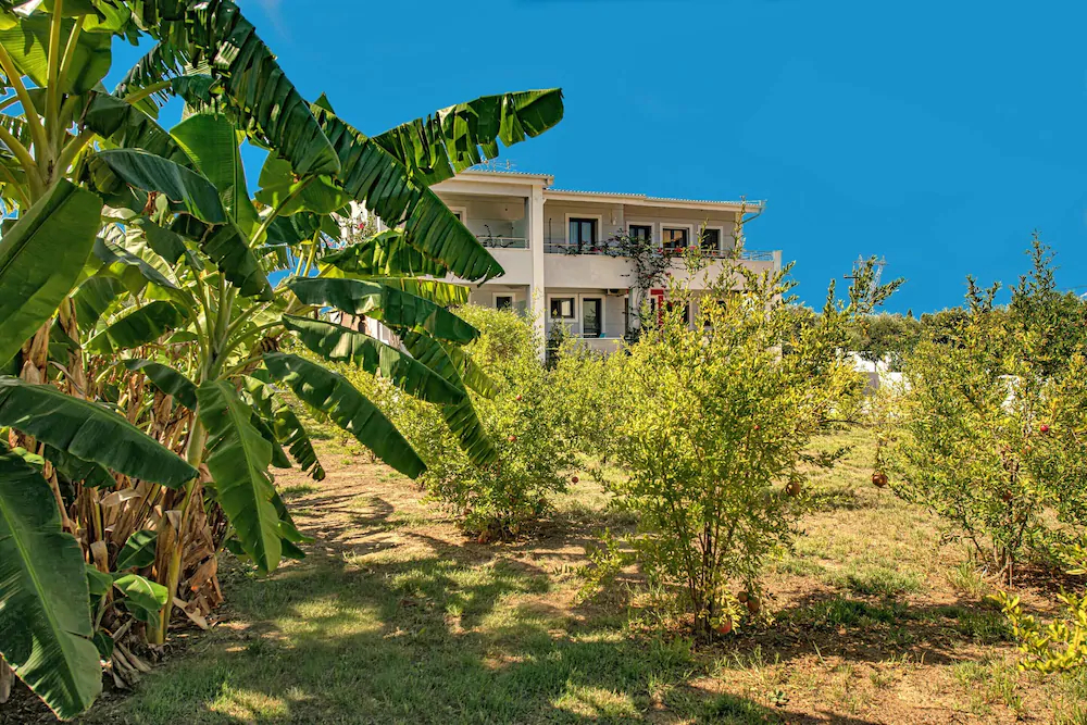 Coronis House