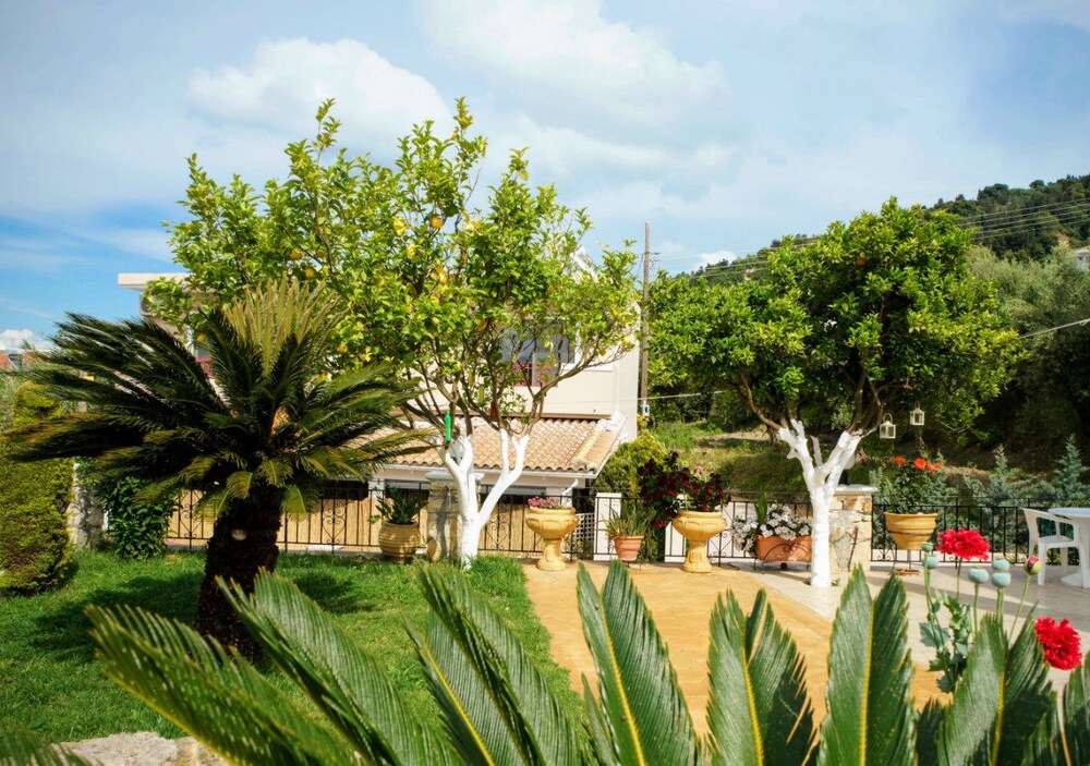 Costas studios