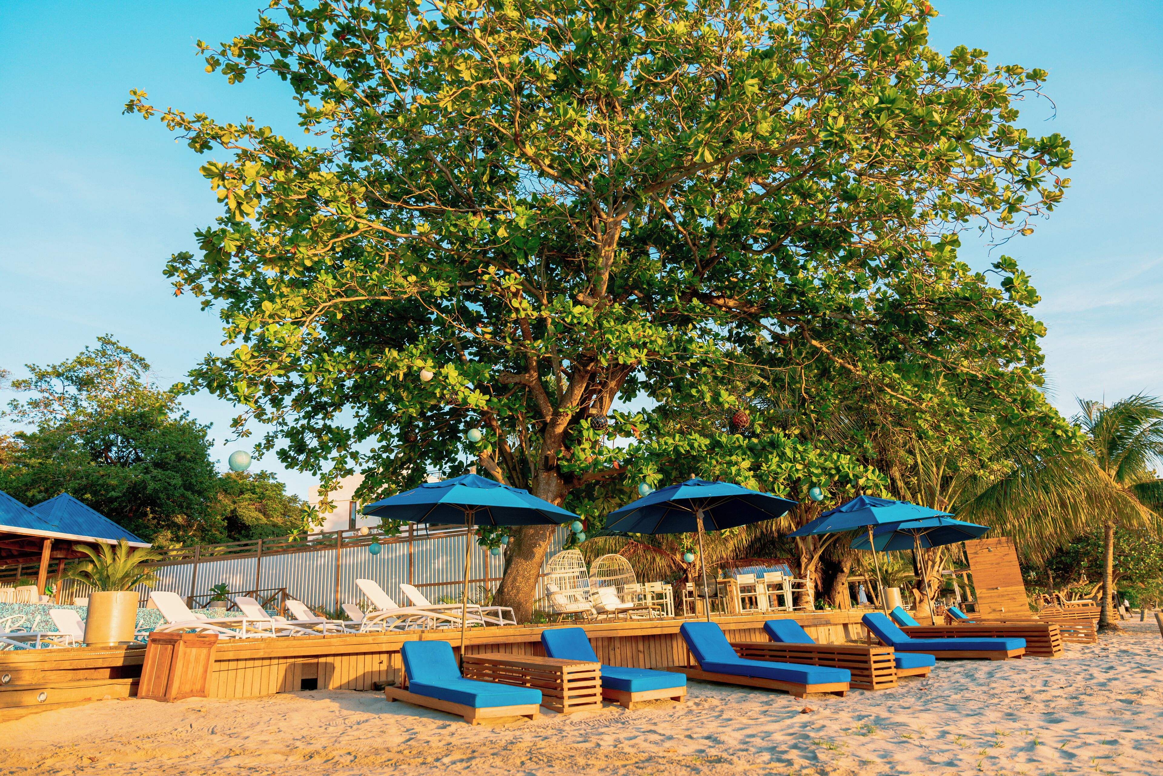 Blue Roatán Resort