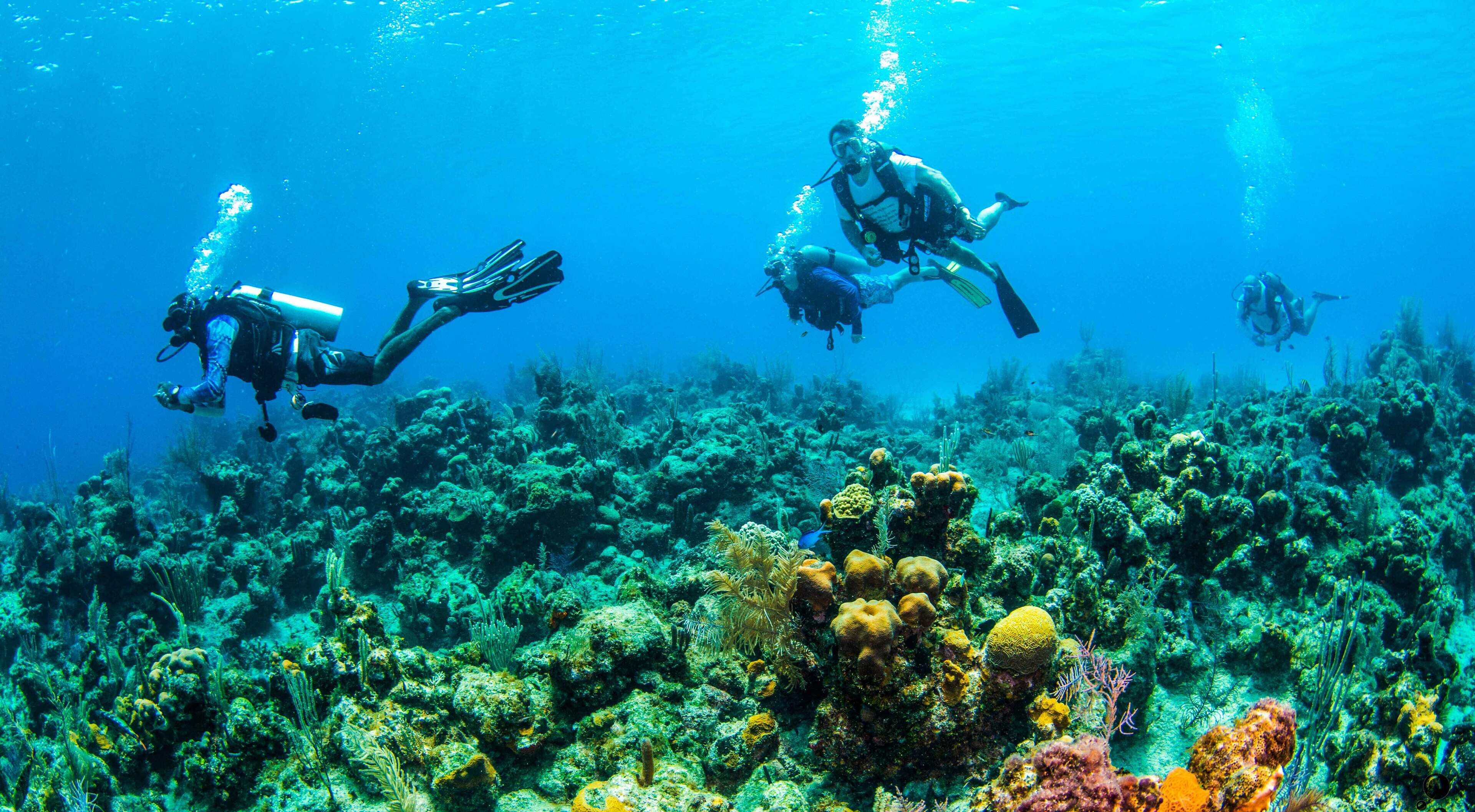 Blue Roatán Resort