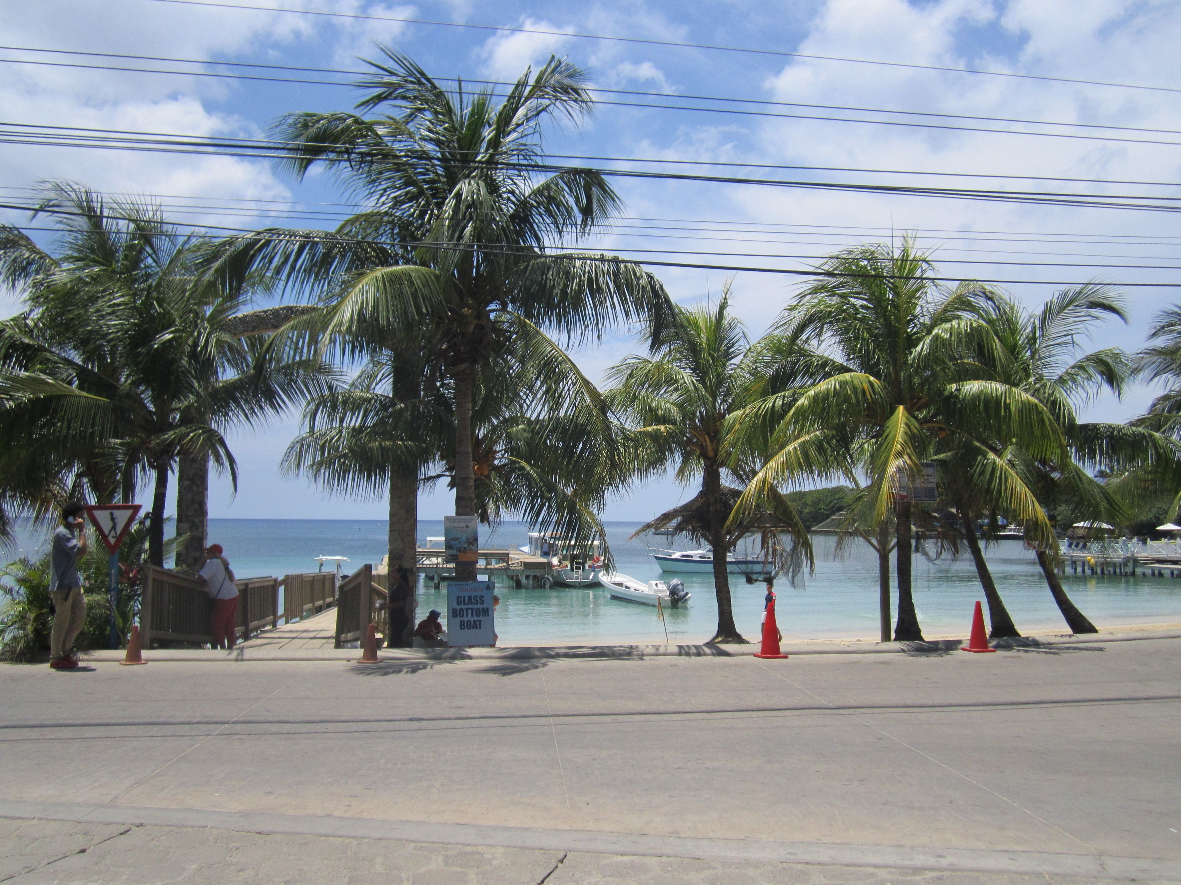 Coconut Tree Cabins West End