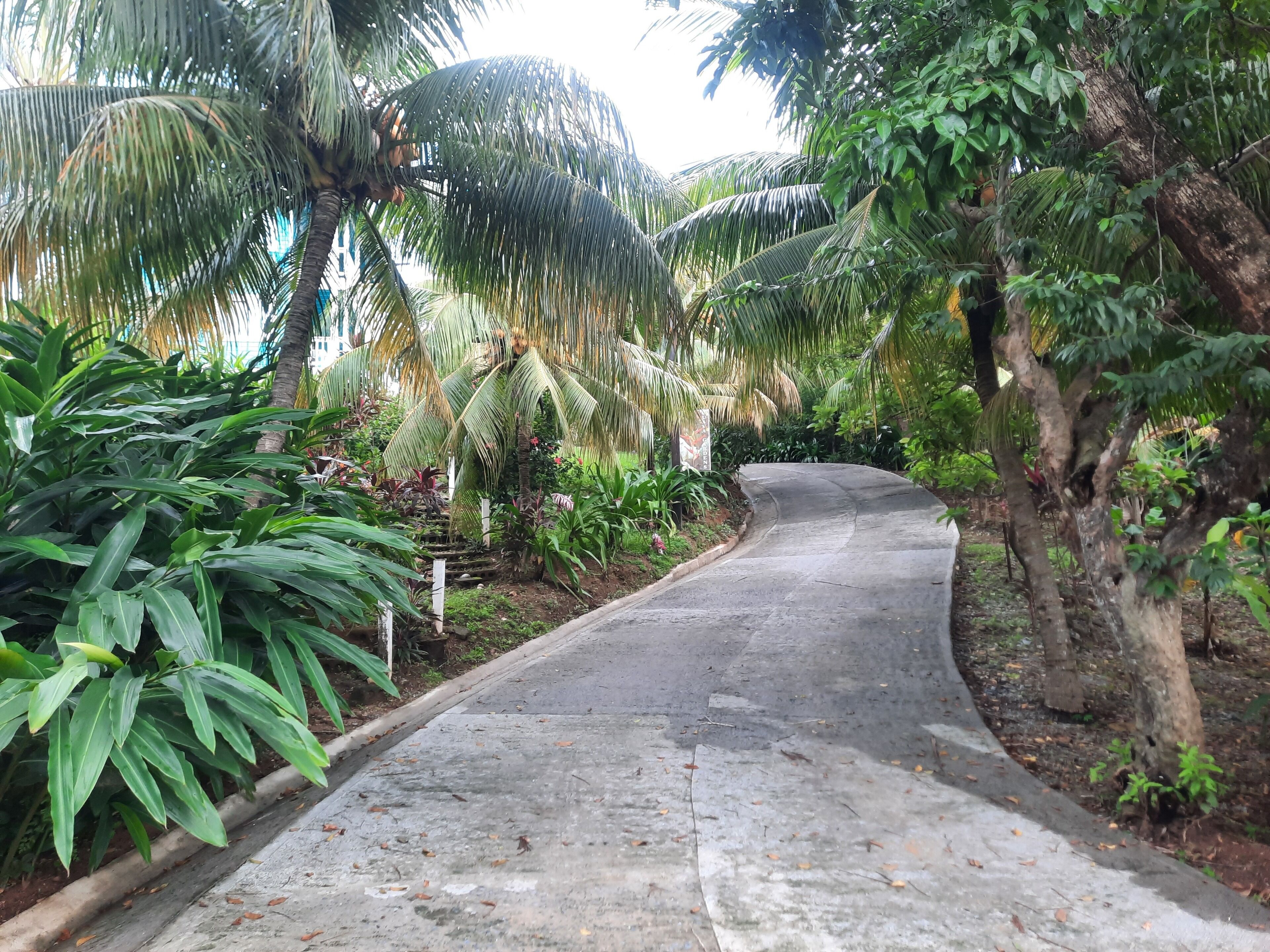Guava Grove Villas and Resort