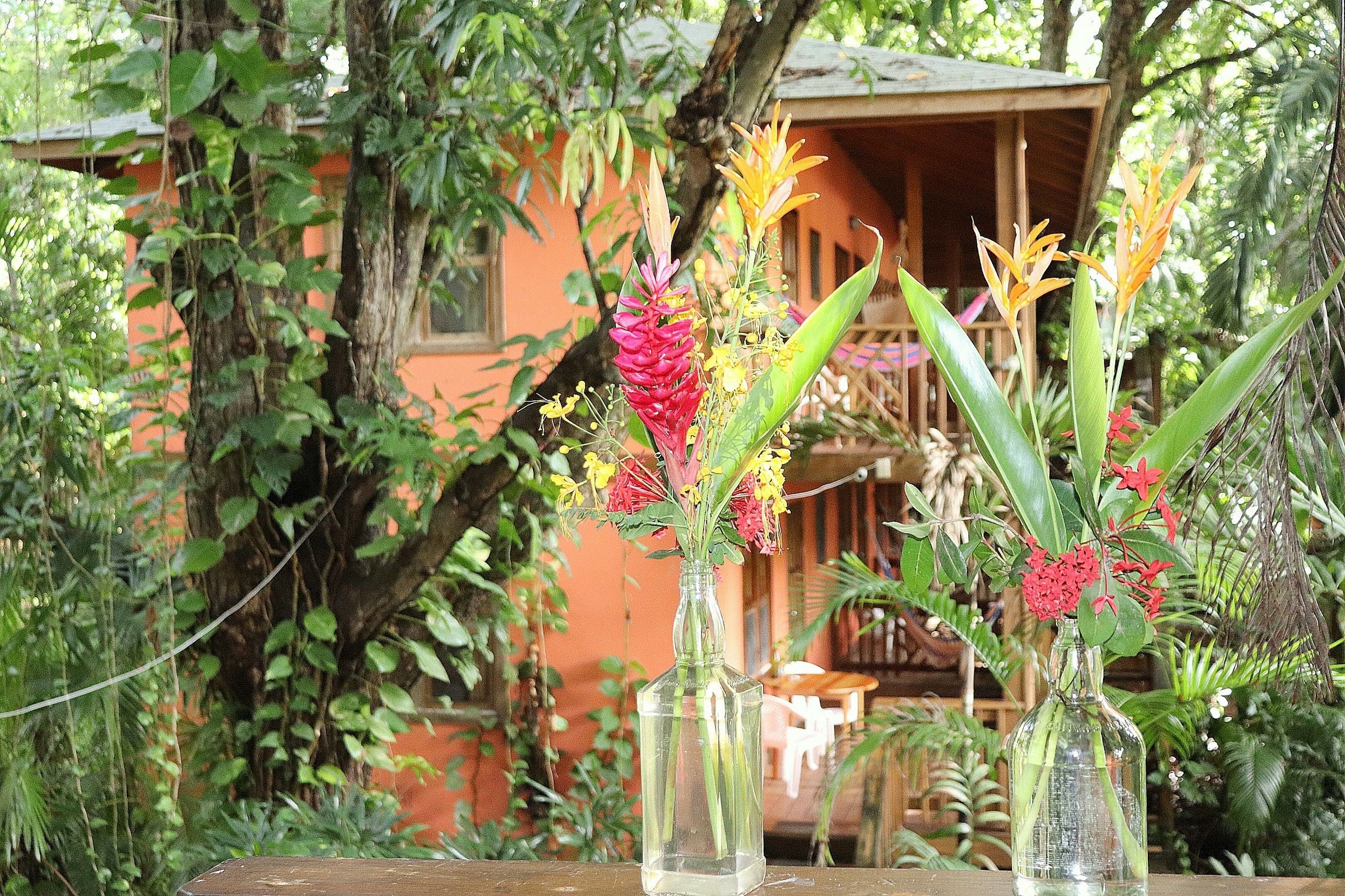 Hotel Posada Arco Iris Roatan