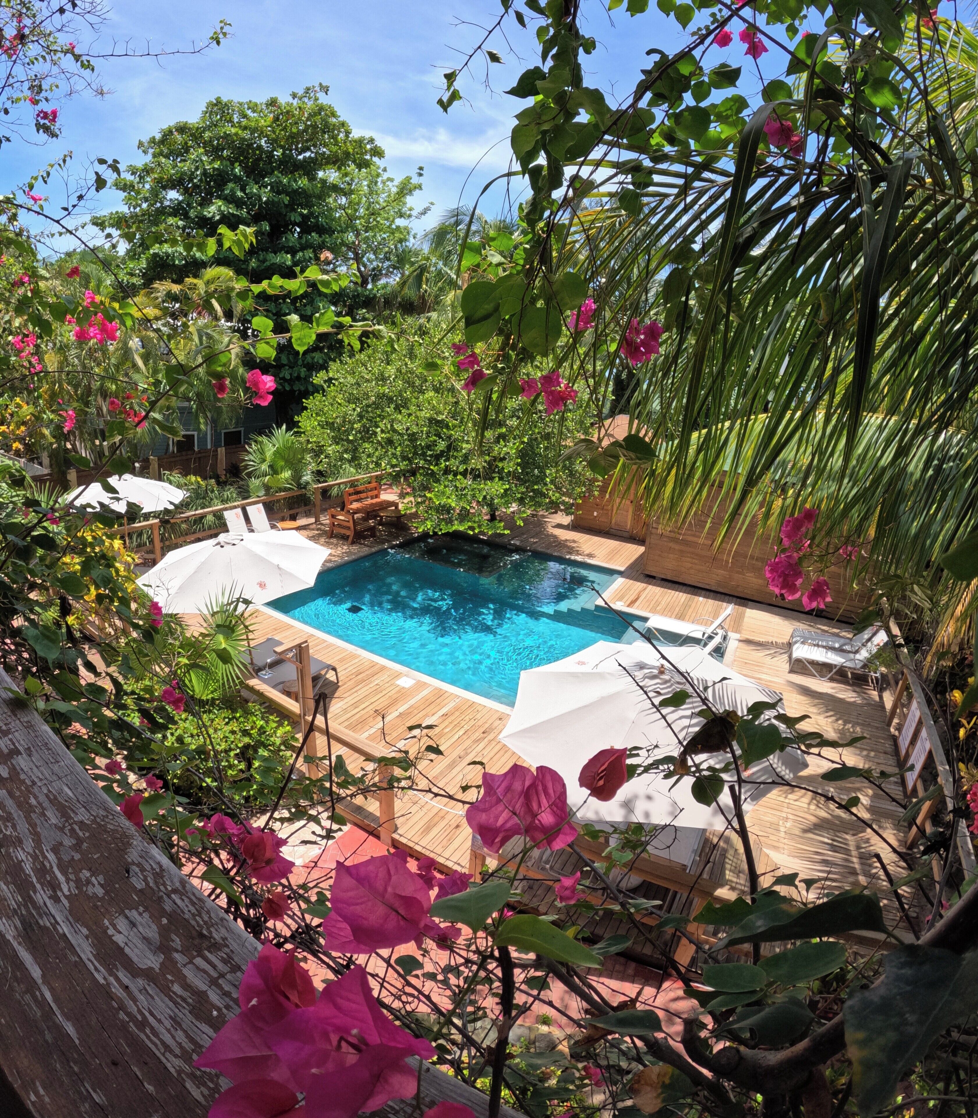 Hotel Posada Seremein Roatan