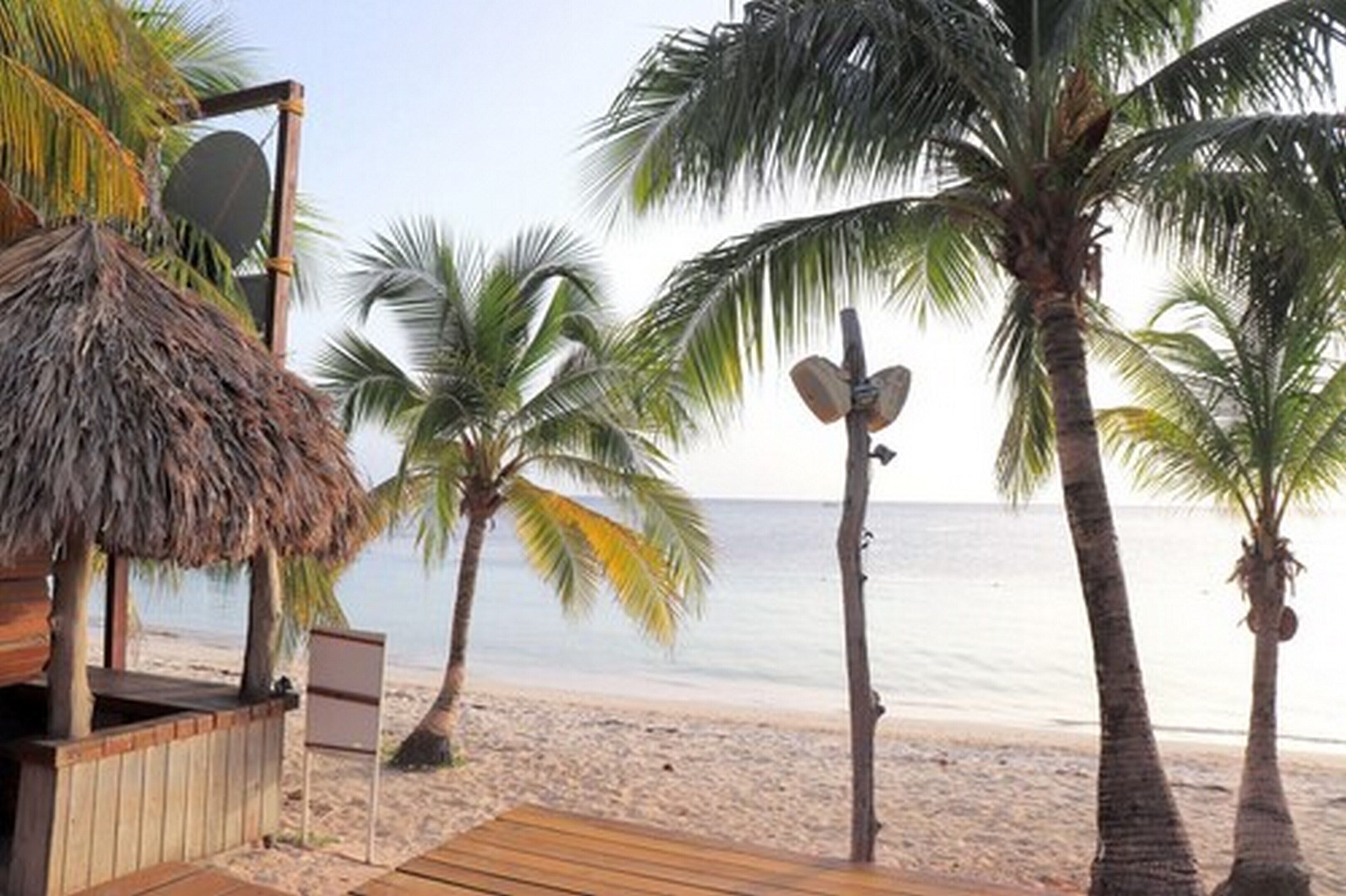 Hotel Posada Seremein Roatan