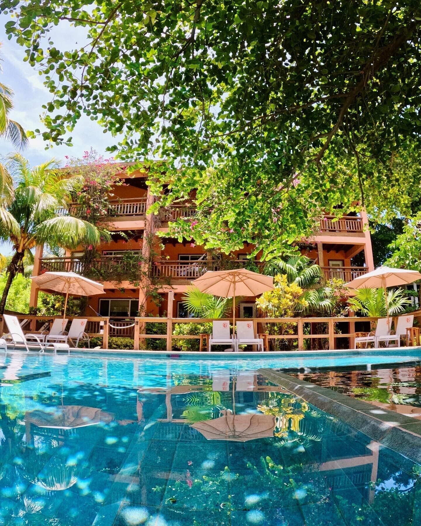 Hotel Posada Seremein Roatan