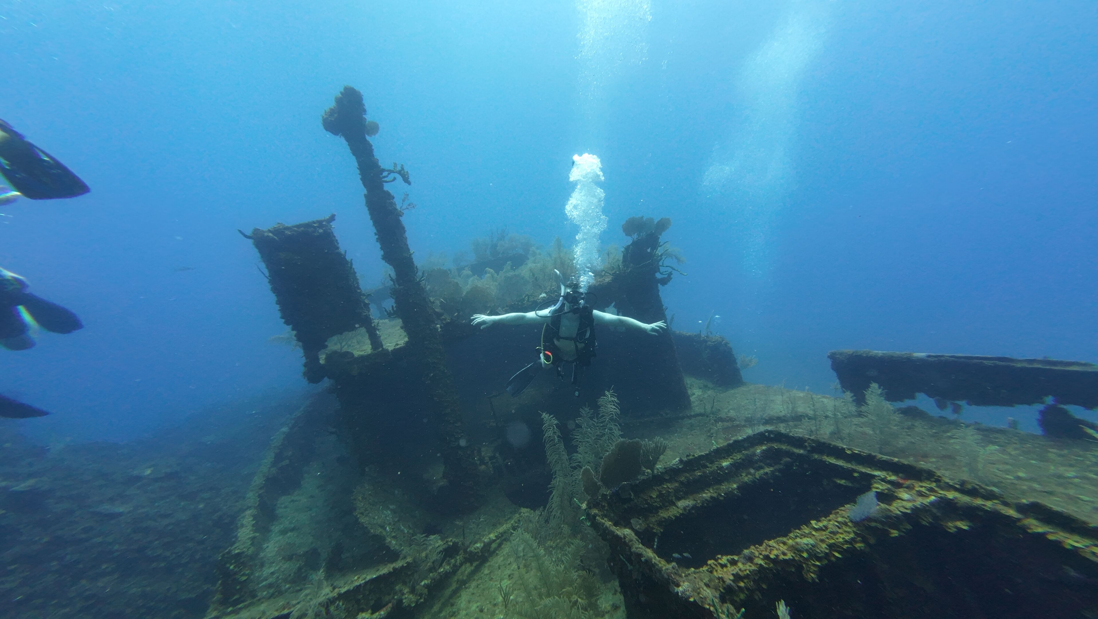 Hotel Roatan Dive and Yacht Club