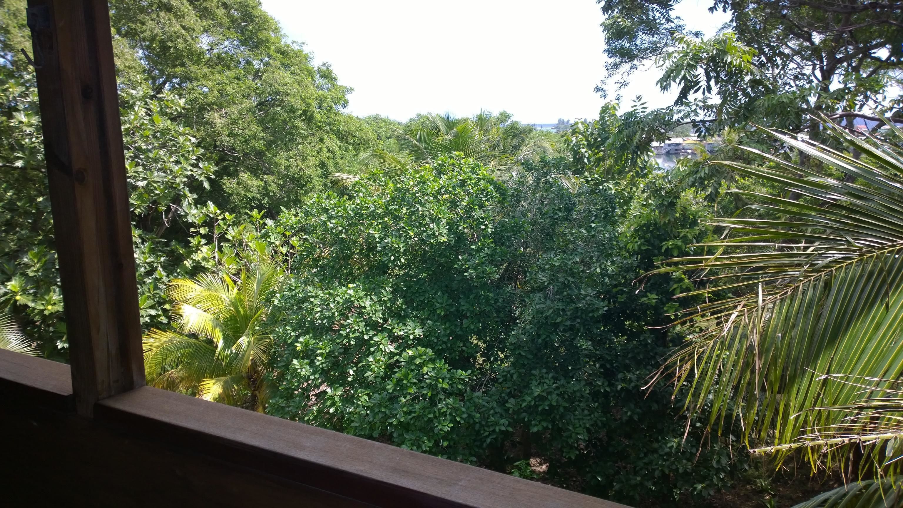 Hotel Roatan Dive and Yacht Club