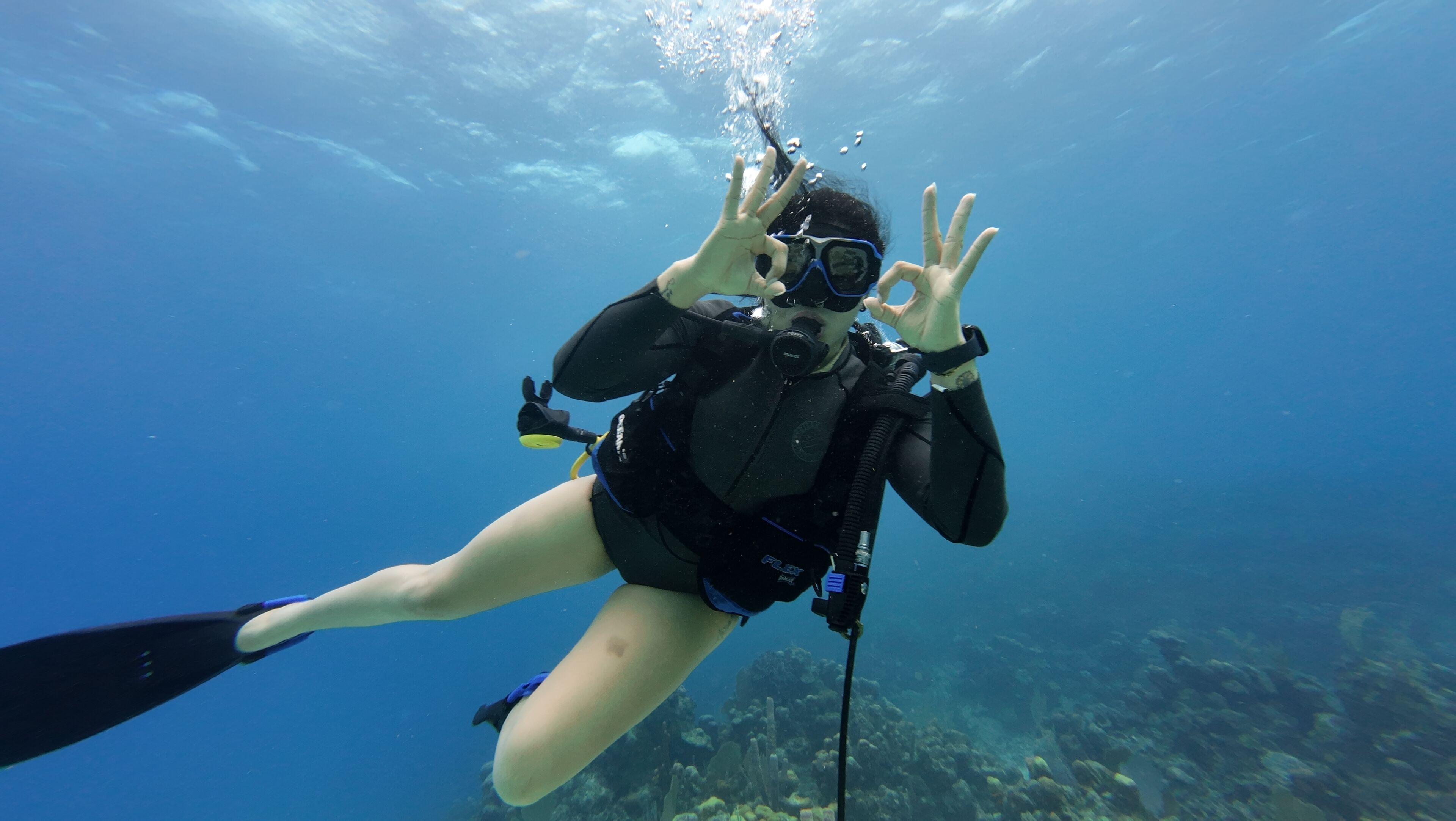 Hotel Roatan Dive and Yacht Club