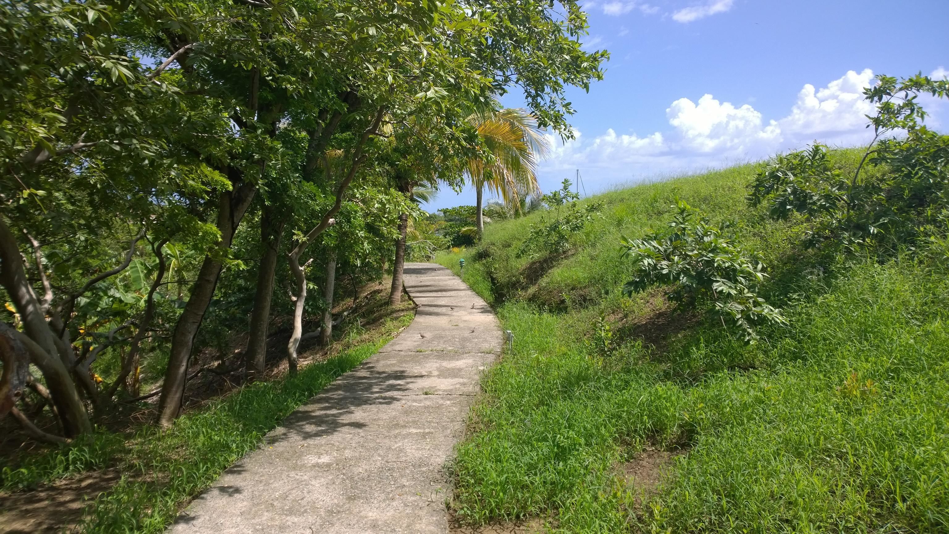 Hotel Roatan Dive and Yacht Club