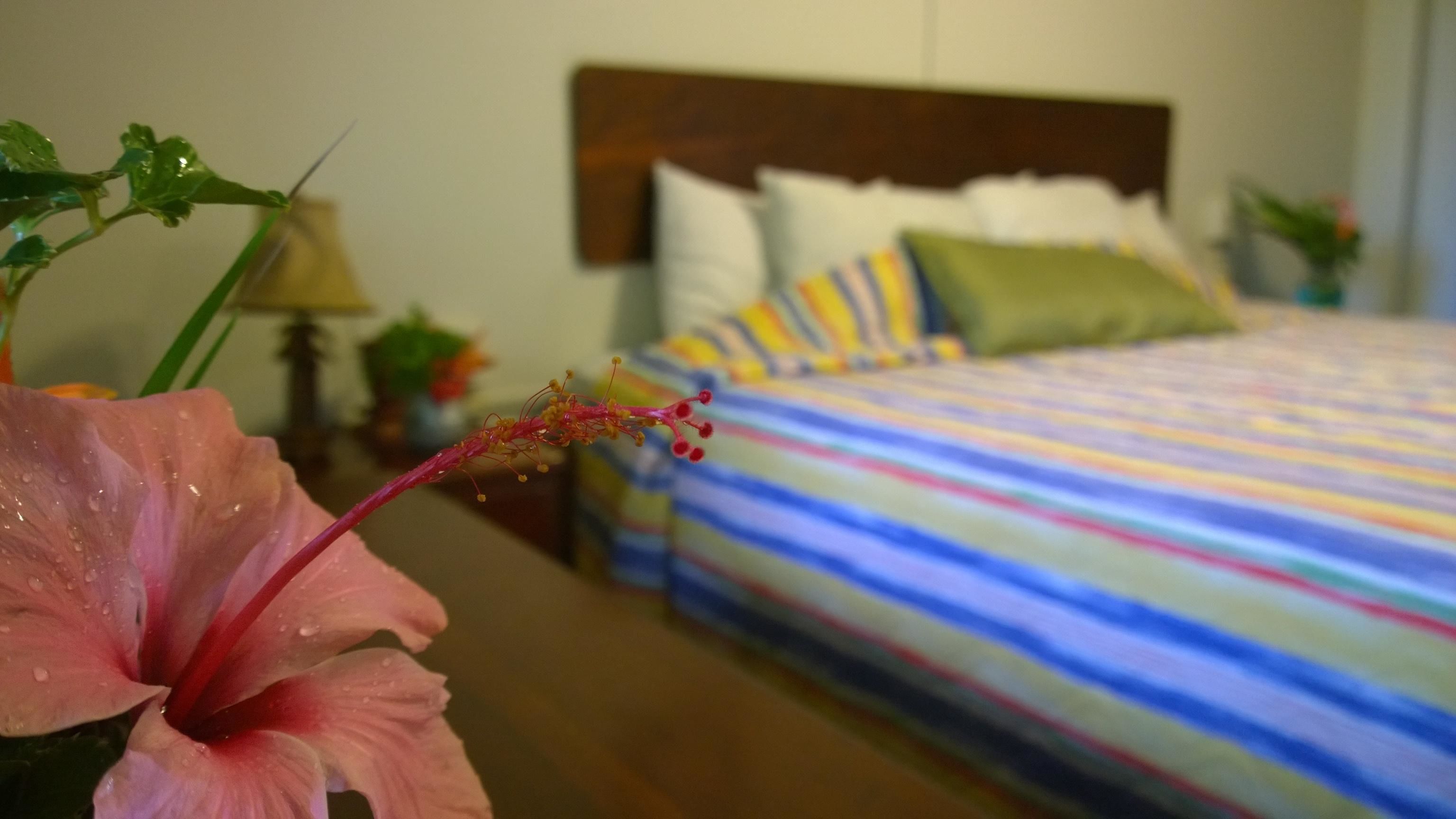 Hotel Roatan Dive and Yacht Club