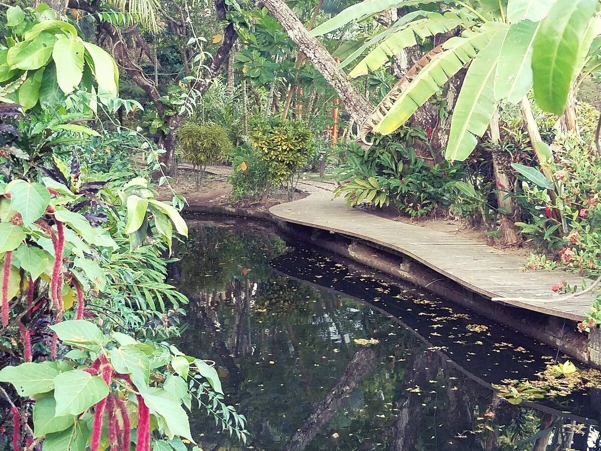 Mango Creek Lodge