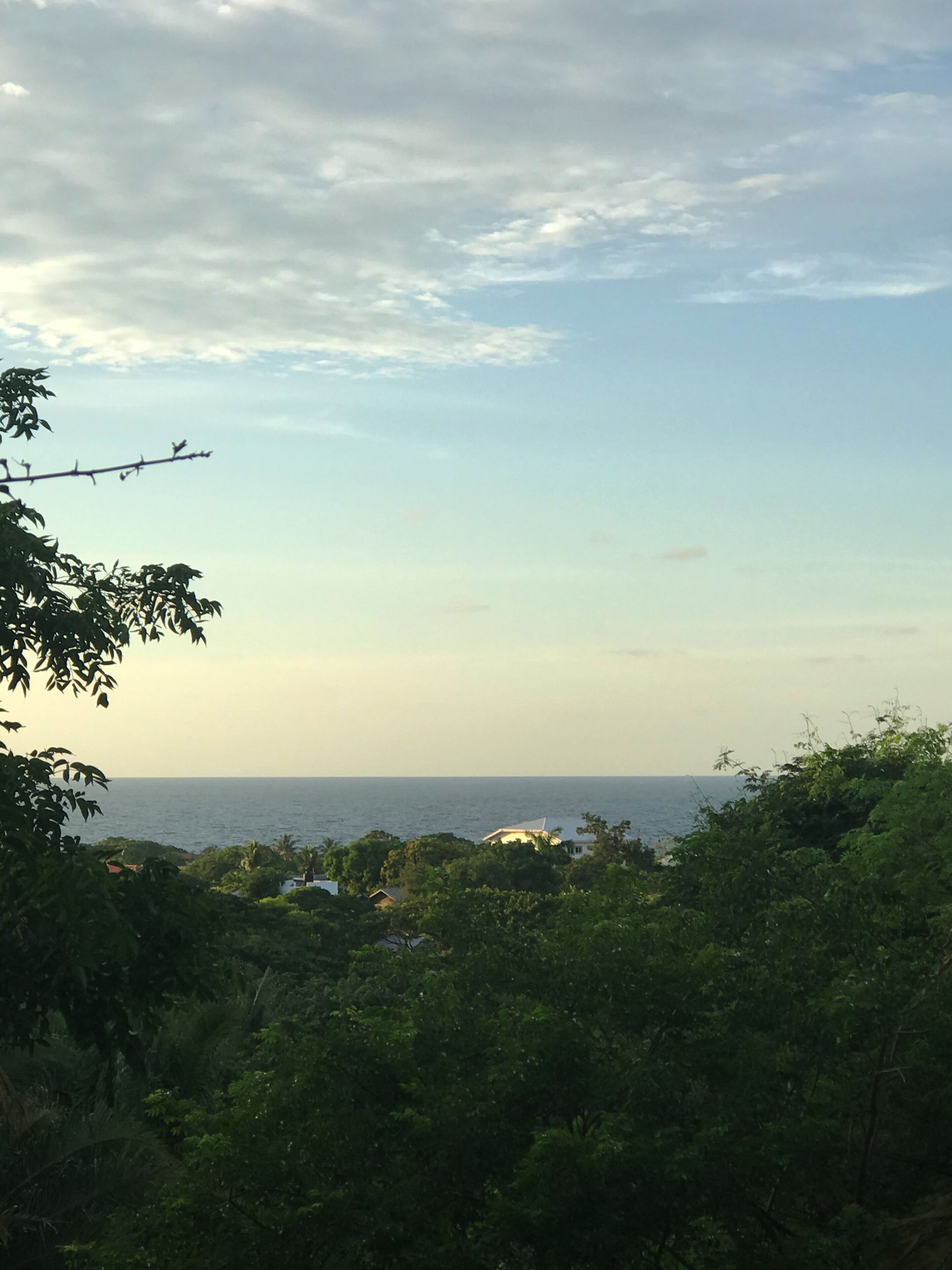 Roatan Bed & Breakfast Apartments