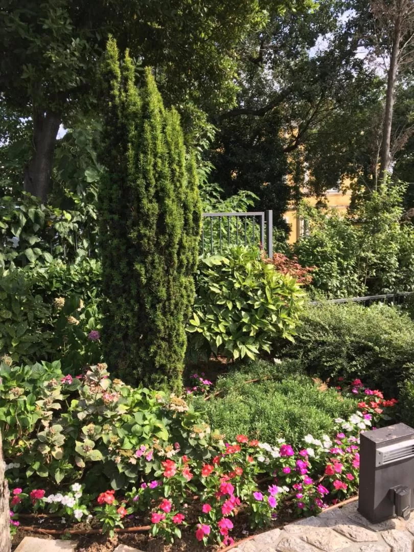 Guest House Villa Dagmar