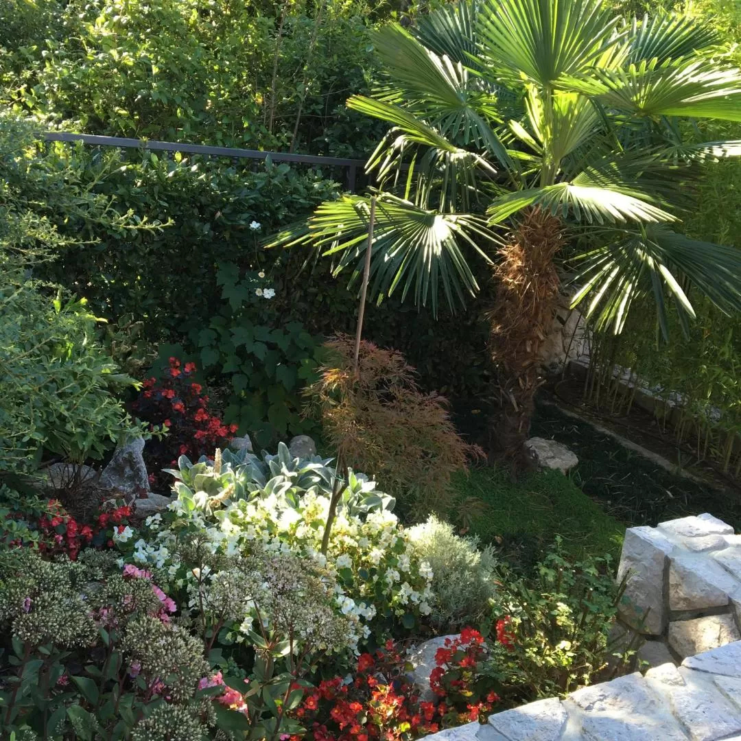 Guest House Villa Dagmar