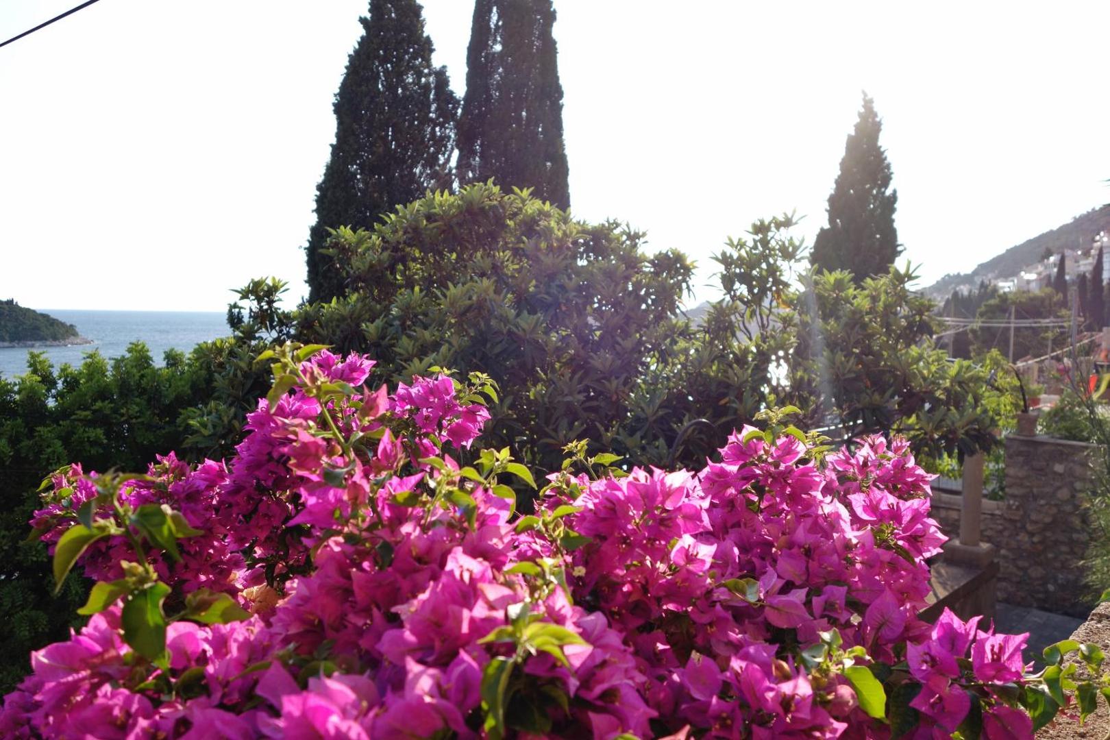 Villa Matilda