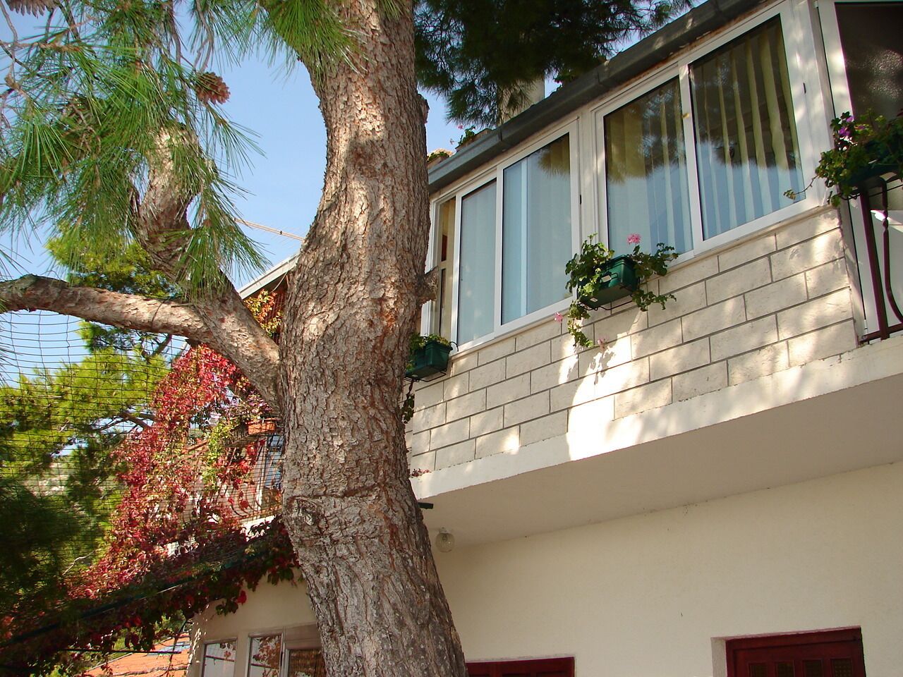 Apartments and rooms Roza