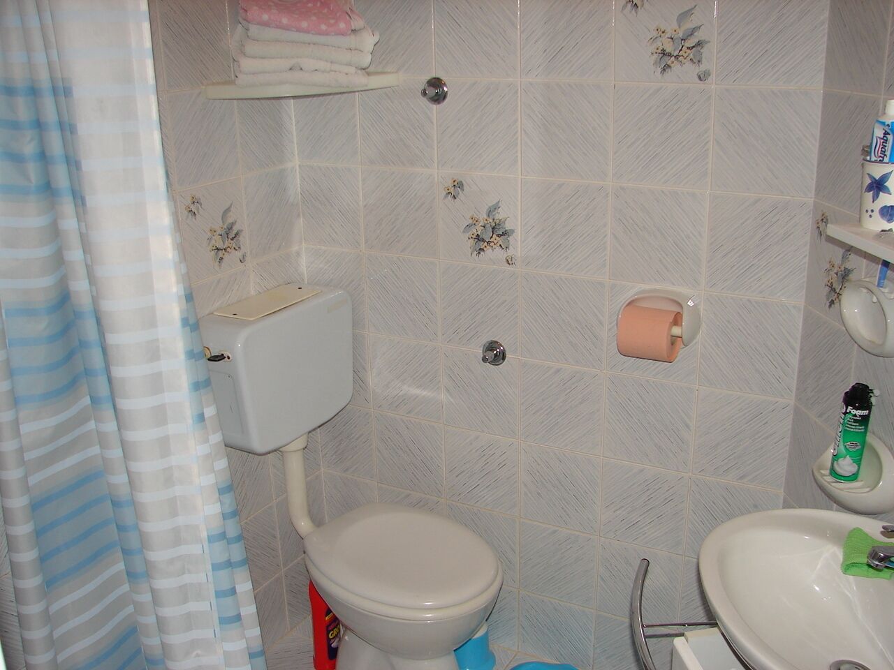 Apartments and rooms Roza