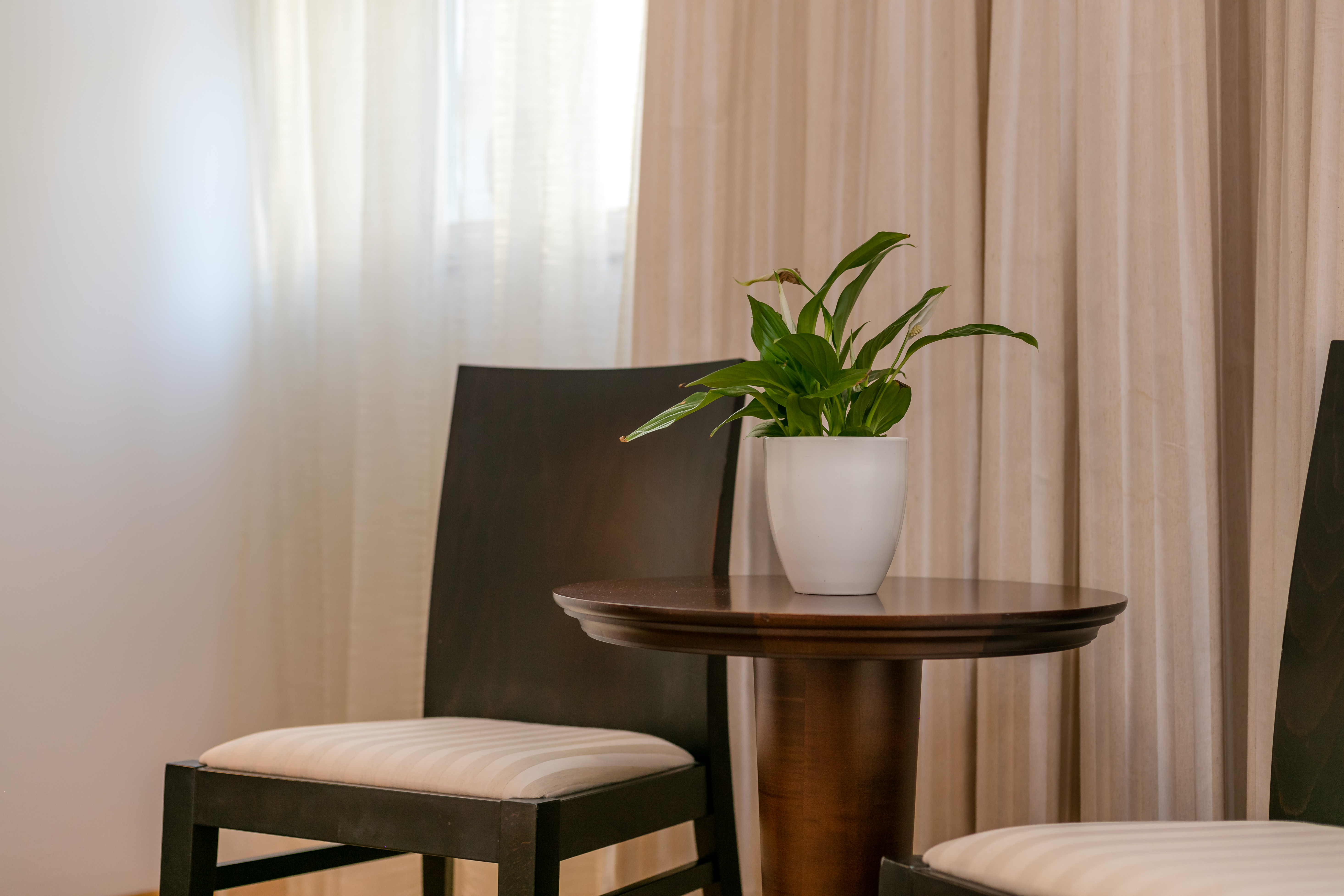 Hotel Croatia