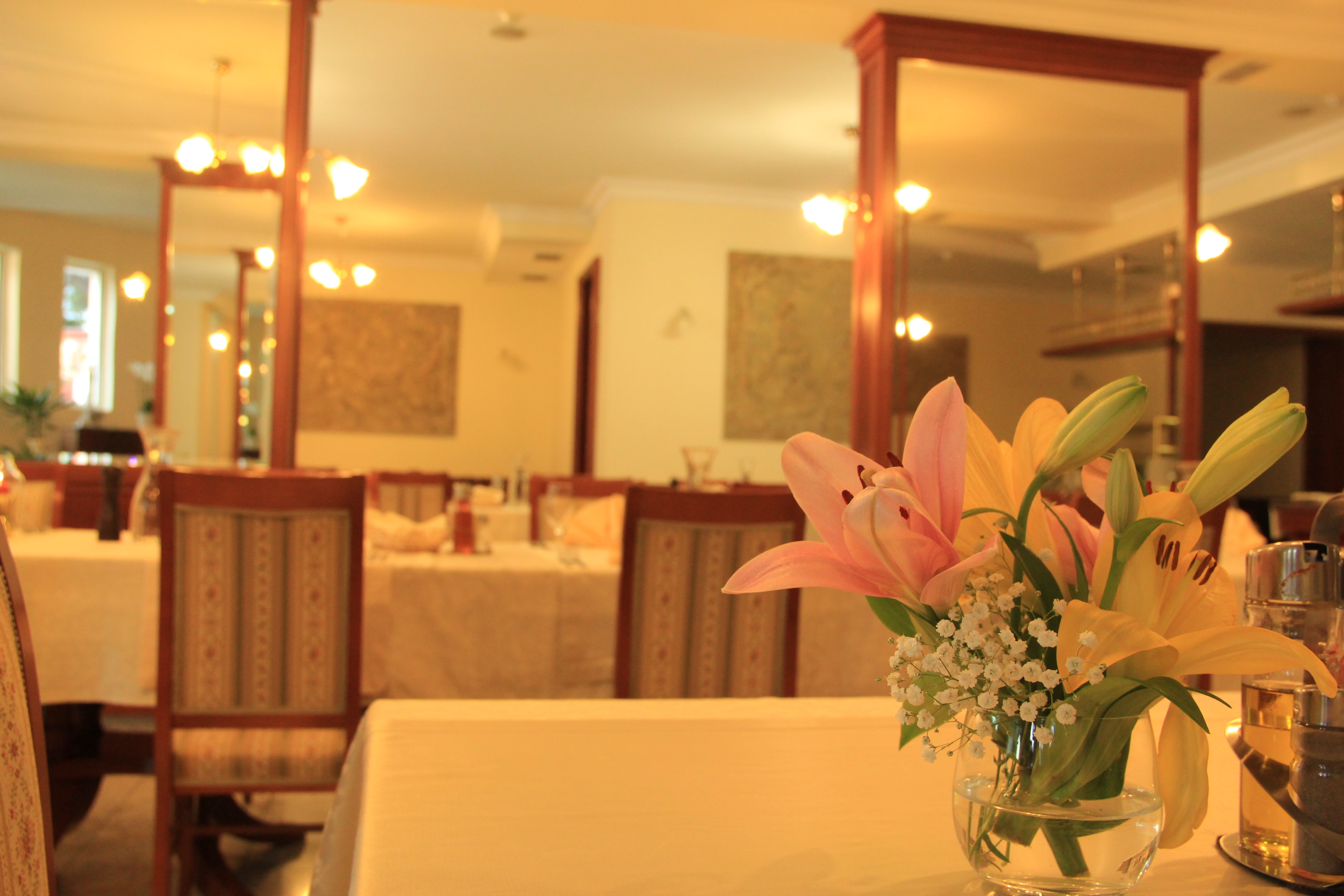 Hotel Villa Bacchus