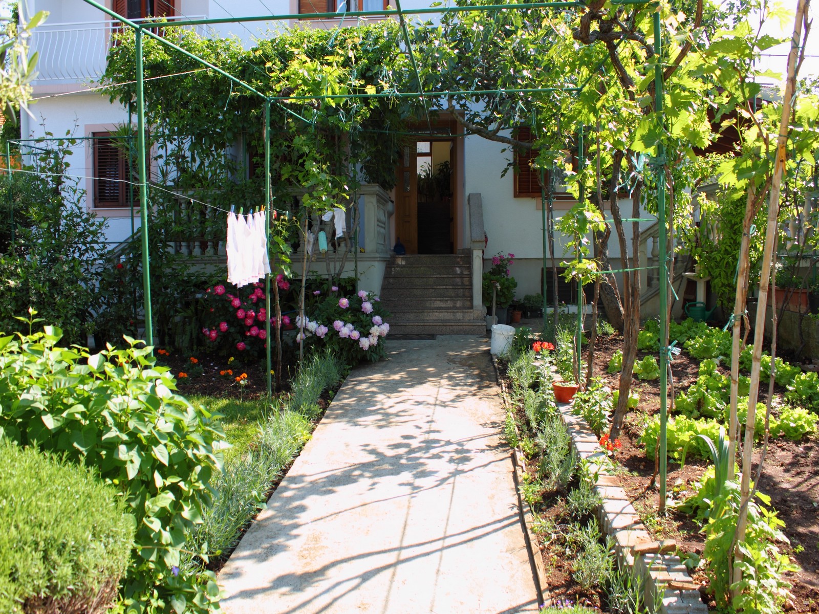 Ante Hotel