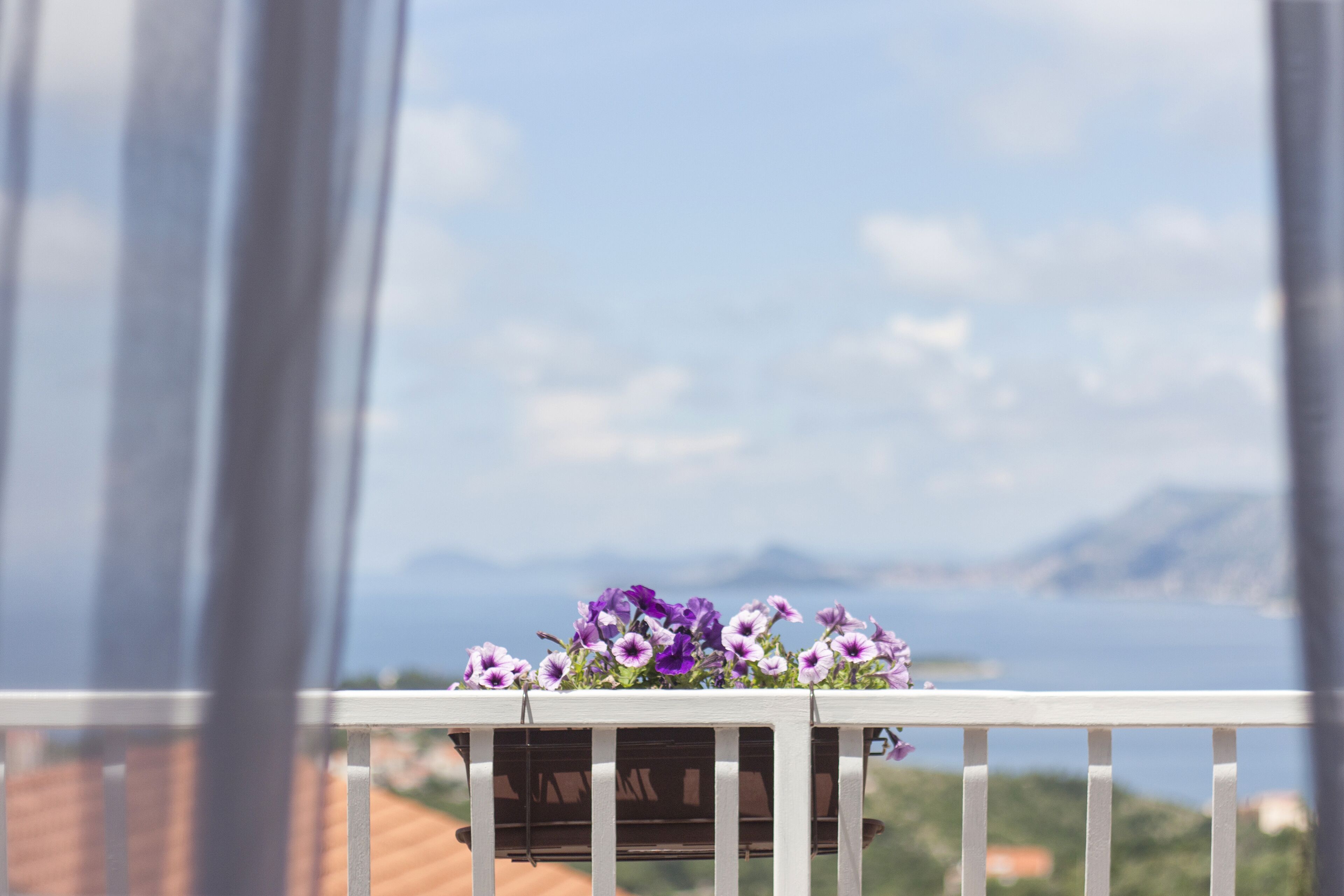 Apartments Micika