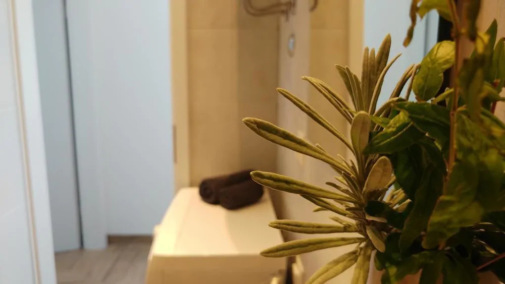 Noel Apartment Cavtat