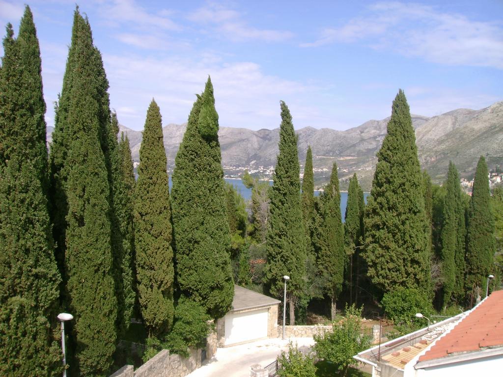Villa Anka