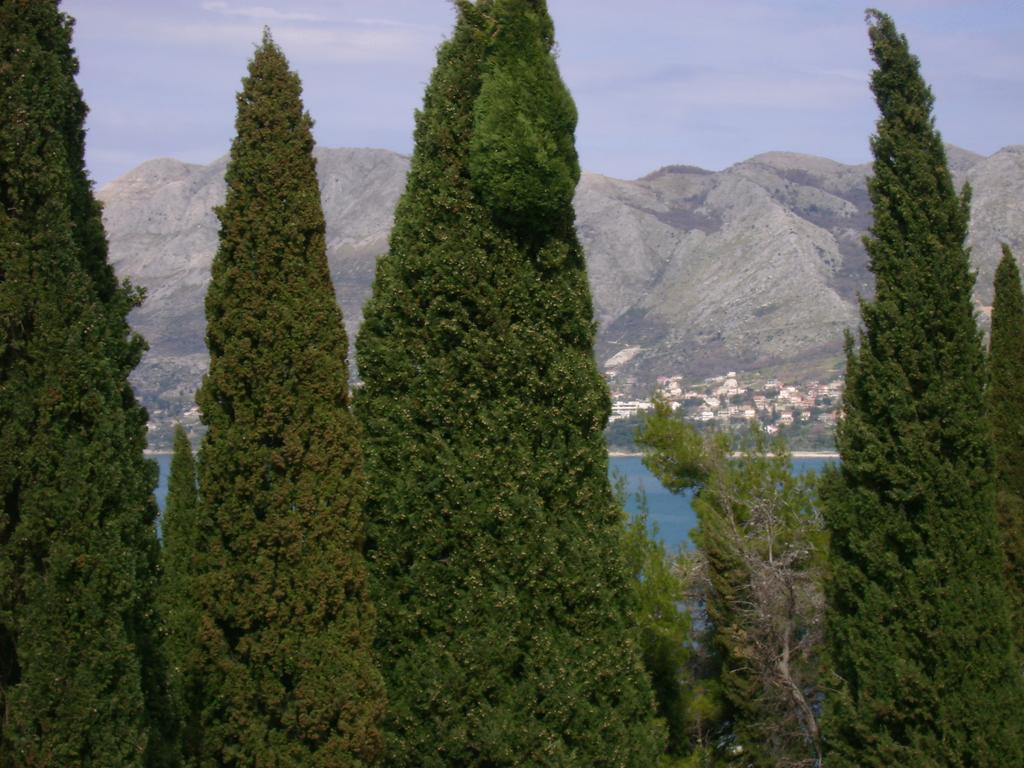 Villa Anka