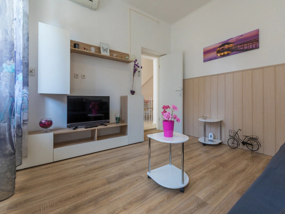Apartment Iva Man