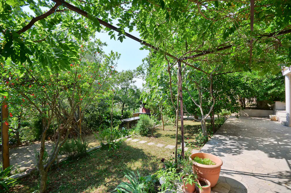 Apartments And Rooms Jaka