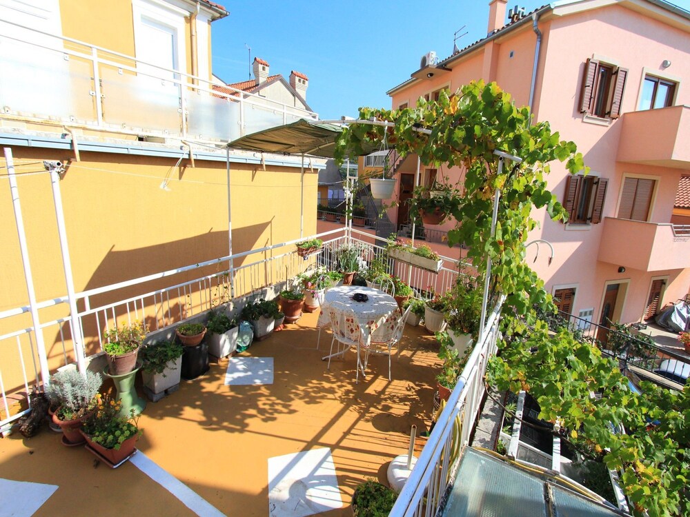 Apartments Feda