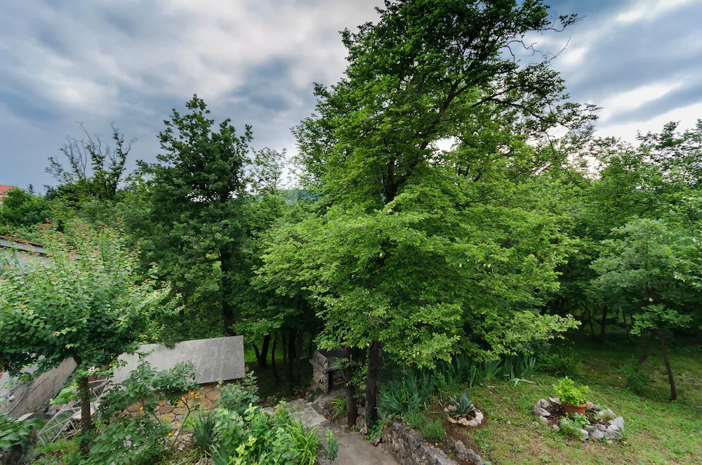 Apartments Ratko