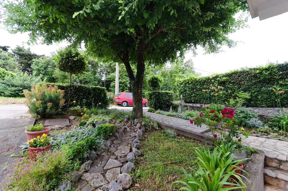 Apartments Ratko