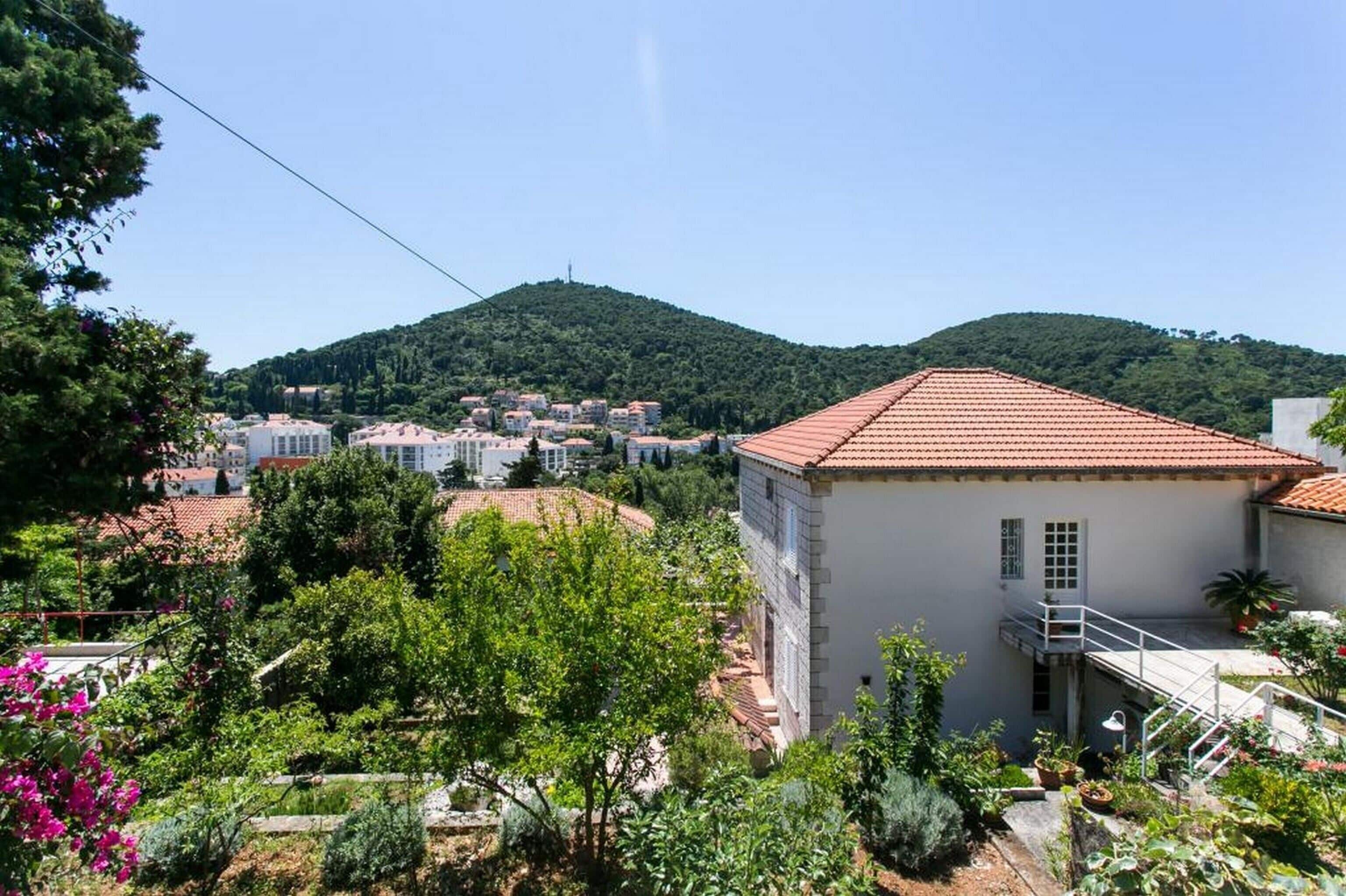 Apartments Elelu