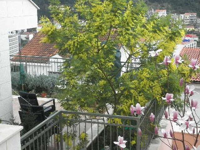Apartments Margaretic
