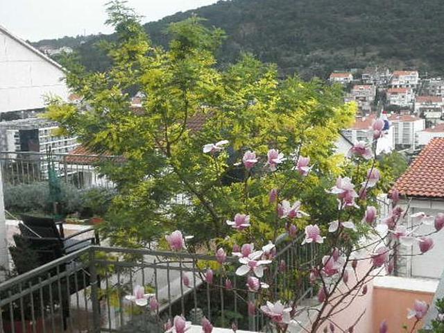 Apartments Margaretic