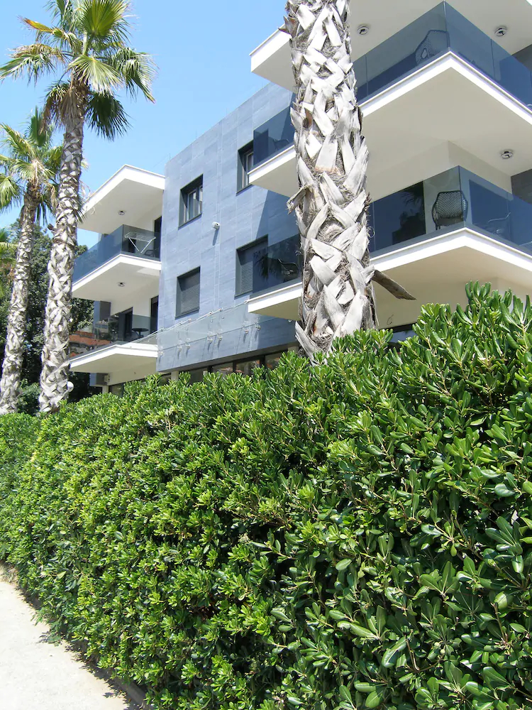 Apartments Mon Amour