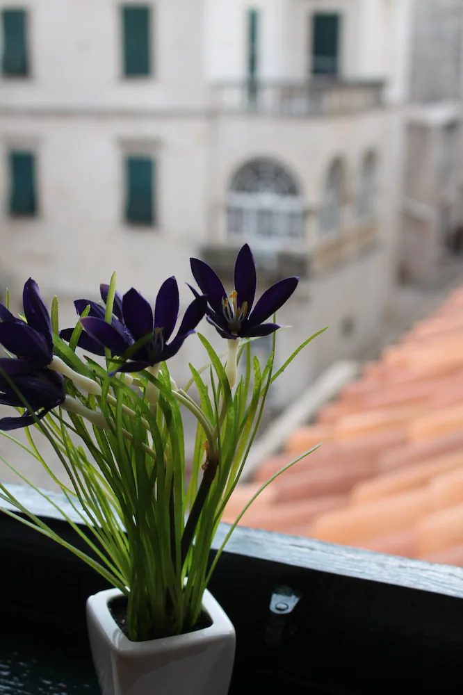 Apartments Nerio