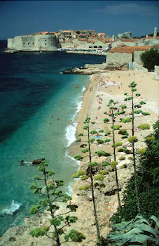 Apartments Nerio