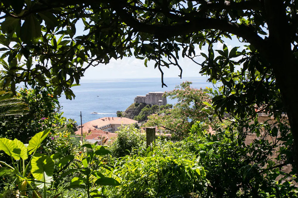 Apartments Noa