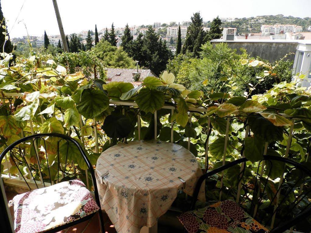 Guest House Bradas