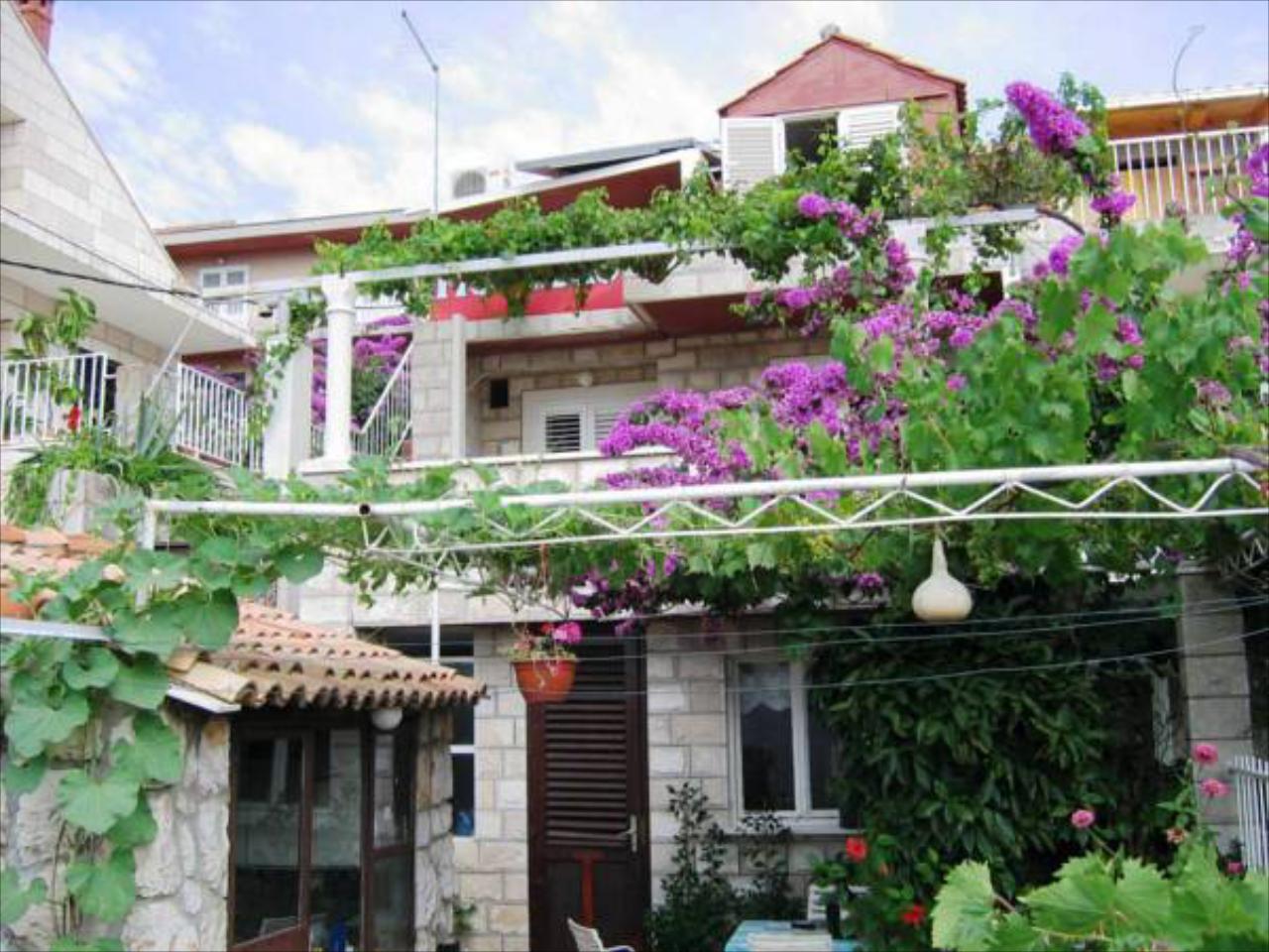 Guest House Misita