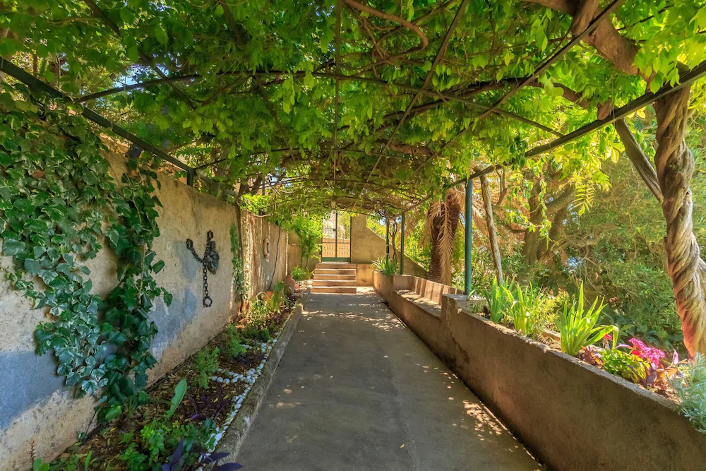 Hedera Estate Villa Hedera XII