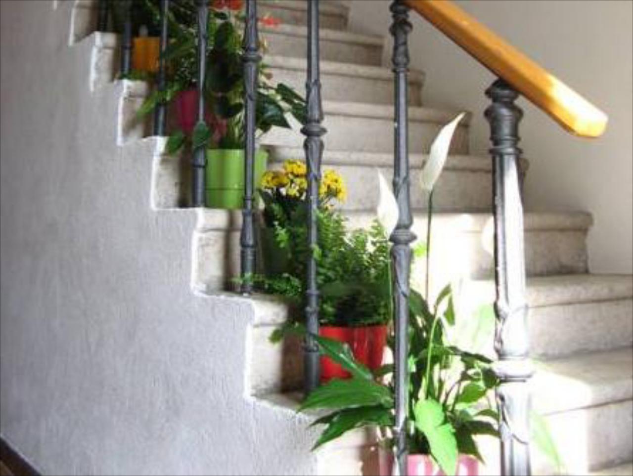House Boninovo