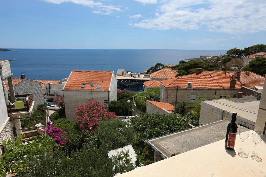House Cvetka