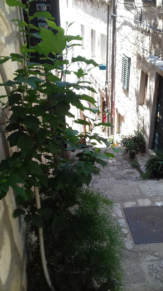 House Katarina - Old town